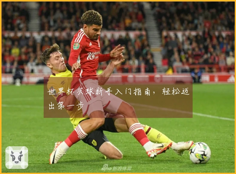 世界杯买球新手入门指南，轻松迈出第一步