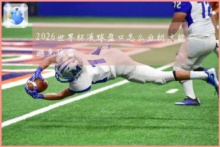 2026世界杯滚球盘口怎么分析才能避免踩雷